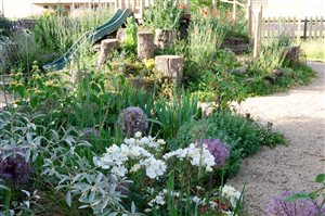 Laura Burt - Bloom and Play Garden.