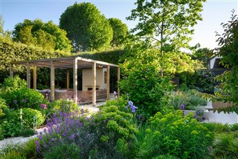 Our award-winning garden in Putney has a sloping rear garden with an arbour and fireplace and wonderful all-year round planting.