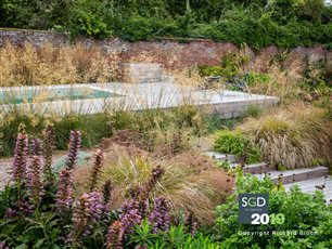 Hampshire Contemporary garden. SGD Winner Medium Garden 2019, SGD Finalist Planting Design 2019