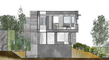 Section through an architect-designed house showing elevations, planting and the woodland copse (mature size) behind the house.