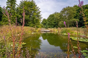 Kilham natural swimming pond