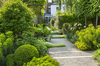 This image of a garden in Barnes shows how quickly a garden can establish as it was photographed only 18 months after the garden was made and planted.
