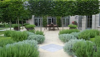 Across the herb garden to the dining terrace.