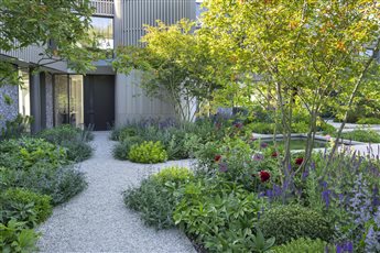 This property in the Chilterns stands in a 5 acre site but some of the garden is an intimate courtyard around the new-build house.  We designed water basins, polished concrete and gravel terraces and steps and bright perennials and grass planting