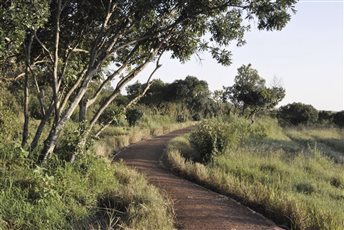 Path at Elewana Sand River
