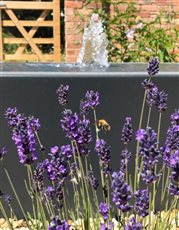 Mediterranean Courtyard, Leicestershire
