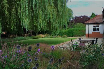 A biodiverse planting scheme in a contemporary garden layout