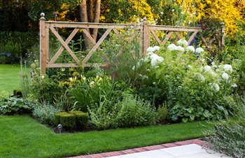 Part of the white garden during evening 'golden hour'