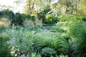 Winner Moss Studio, Principal Designer Barbara Samitier MSGLD, Dulwich Pollinators. Photograph © Annaick Guitteny