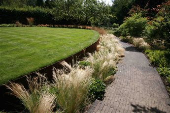A contemporary garden in Berkhamsted