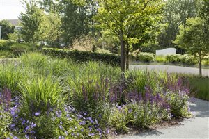 Gavin McWilliam & Andrew Wilson FSGD, Kents Hill Park, Photo: Paul Childs