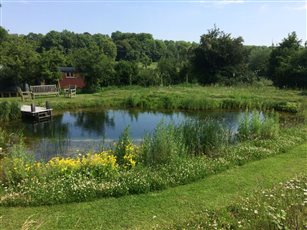 Meadows and woods surrounding natural swimming pond 