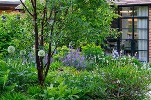 Winner Charlotte Rowe Garden Design, Principal Designer Tomoko Kawauchi MSGLD, Putney Garden. Photograph © Jason Ingram