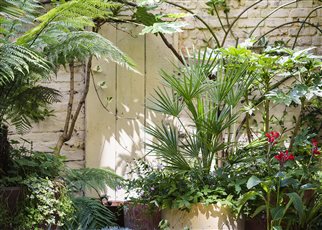 planted pots with reflections and shadows