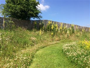 Wildflower meadow and hurdles with spoil from swimming pond providing shelter bank