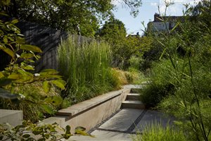 Tom Massey MSGD - Twickenham Garden - Image Alister Thorpe