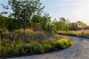 James Smith MSGLD - Foxglove House. Photograph © Eleanor Walpole