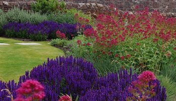 Coastal Garden, Scotland