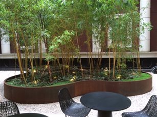 Atrium for corporate headquarters in Westminster with custom corten steel planter