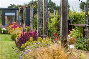 Semi-formal country garden - Planting contrasts textures and colours that repeat along the borders.