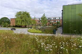 Merstham Park School courtyard