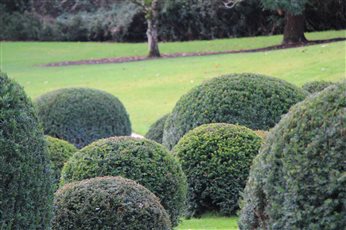 Country Estate, Adare, Ireland