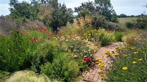Kristina Clode - Wildlife Friendly Eco House Garden