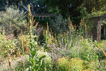 Walled wildlife garden