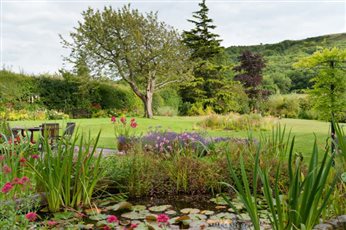 Sussex and Surrey Gardens
