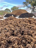 Winner: Plantgrow for PlantGrow Mulch