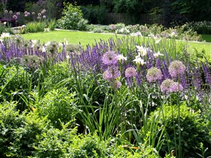 Purple and white themed border for a terrace at a formal garden design at a Victorian home in Leeds, Yorkshire. 