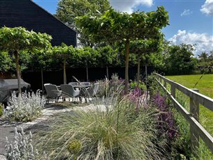 Drought Tolerant Cambridgeshire Garden

Large unit porcelain paving, Belgian bricks, grey and pastel informal planting.
