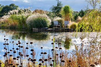 Miscanthus grasses add height and drama to the back of the pond in this Sussex country garden - image copyright Marianne Majerus 