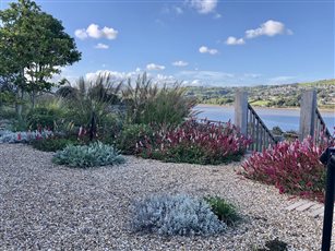Coastal planting, pea shingle paths and oak steps leading down to lawn area.