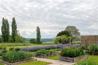 Somerset Plains - An extensive garden set on the side of a hill with stunning views across the Somerset plains.