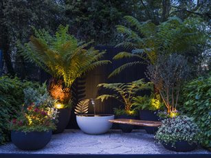 Gold Medal Winning RHS Chelsea Flower Show Garden 'Feels Like Home'. A garden created using only plants in pots with a New Zealand theme. The garden also won Best in Category and Peoples Choice Awards.