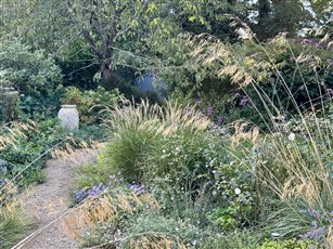 Autumn in our own garden here in West Sussex