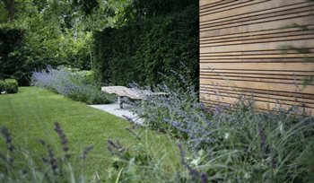 Custom made Cedar trellis with  structural hedging buttresses.  The soft planting around the bench creates a simple focal point and restful place within the garden. 