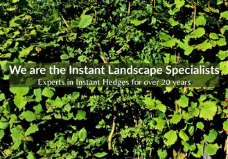 The Instant Landscape Specialists