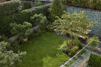 Clapham garden