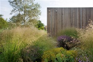 Winner Kristina Clode MSGLD, Countryside Meadow Haven. Photograph © Gardens Illustrated/Annaick Guitteny