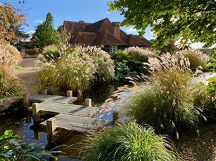 Miscanthus grasses surround the watercourse in this large country garden in East Sussex 
