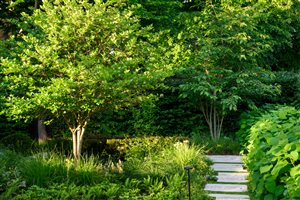 Winner Charlotte Rowe Garden Design, Principal Designer Tomoko Kawauchi MSGLD, Putney Garden. Photograph © Jason Ingram