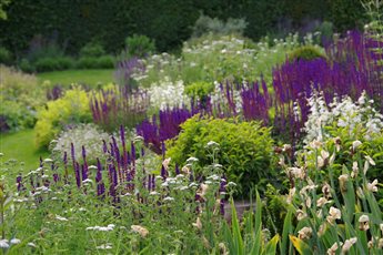 Hampshire Country Garden