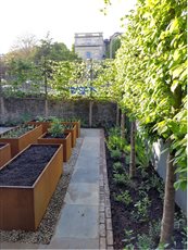 Clifton garden
- Corten planters