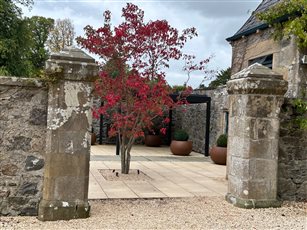 Formal courtyard garden near Evanton. Historic stone gate piers frame a contemporary terrace, where a multi-stem acer glows in autumn against old walls, with clipped evergreens in rust-toned planters beneath a modern pergola.