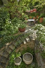 South Kensington garden - London