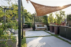 Maitanne Hunt MSGLD - Chelsea Roof Garden