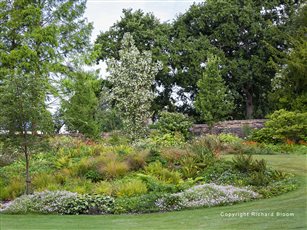 Hampshire SGD Winner Large Residential Garden 2020