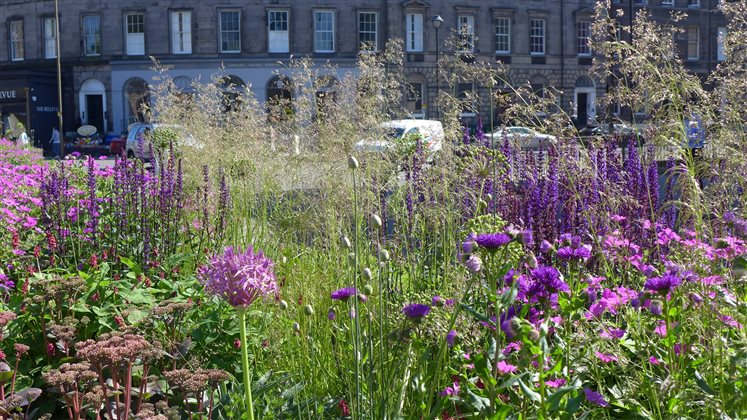Ecologically Informed Planting - The Design Process - 02 & 09 March 2026
